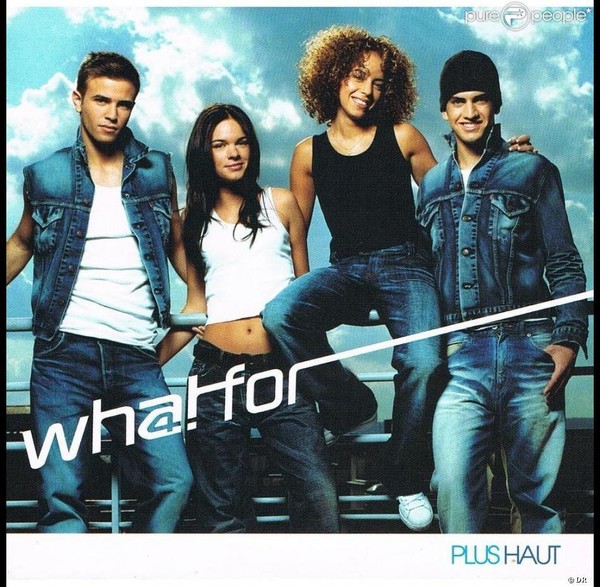 Whatfor - Plus haut pic